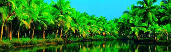Chaandhni Lake View Hotell Alappuzha Exteriör bild